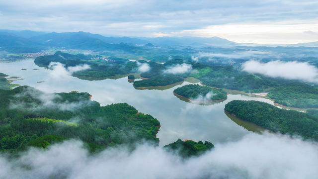 云雾  缭绕   仙境  生态  水库