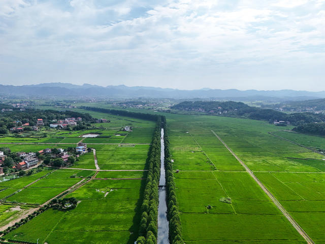 和美  乡村  农田  自然  风景  旅游
