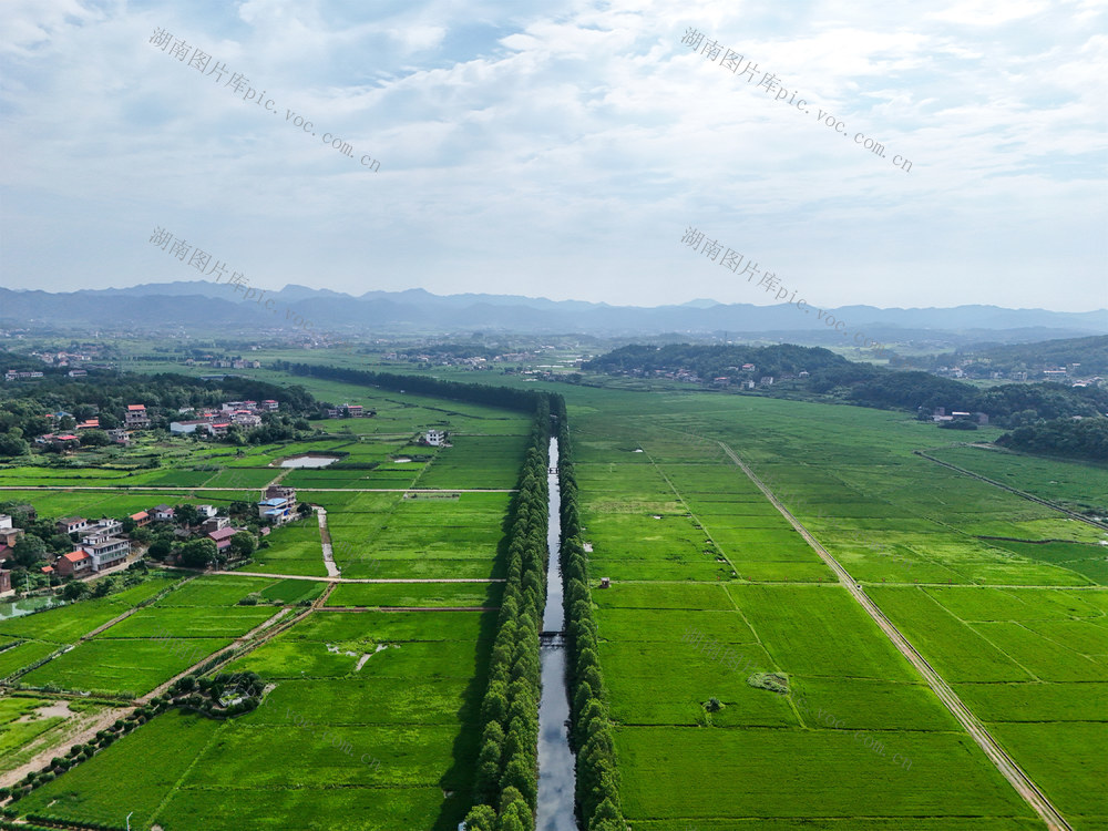 和美  乡村  农田  自然  风景  旅游