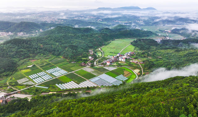 田园  产业  生态  画卷  和美