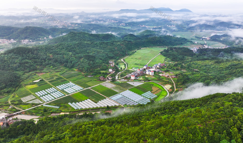 田园  产业  生态  画卷  和美