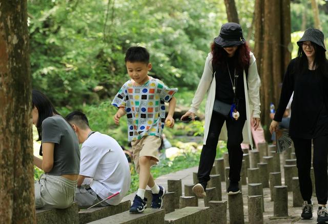 张家界 旅游 清凉 避暑