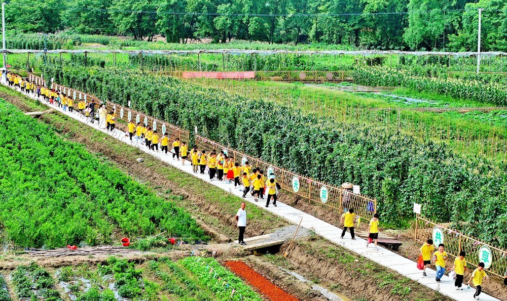 湖南  常宁 学生 实践  课堂