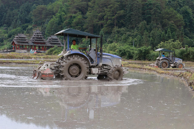 农机 夏耕 耕地 水稻 制种
