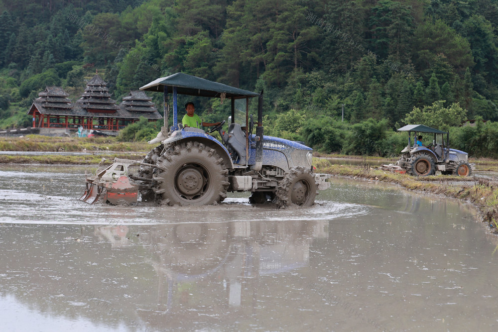 农机 夏耕 耕地 水稻 制种