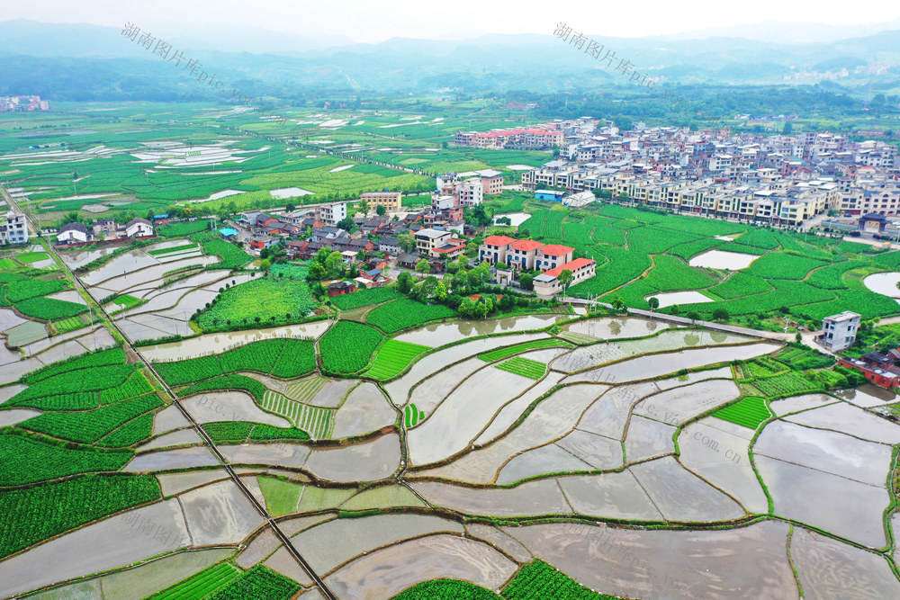 临武：赋能产业兴 乡村美如画