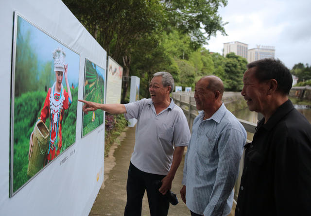 湖南桂东  高海拔之恋 影像展