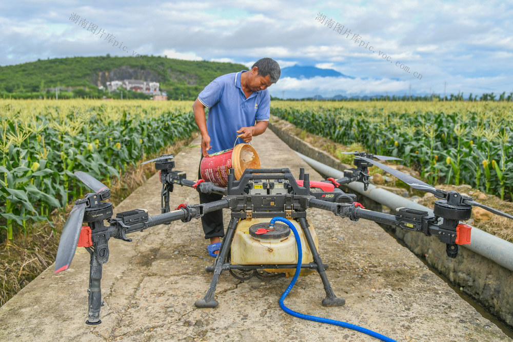 飞防
无人机
道县