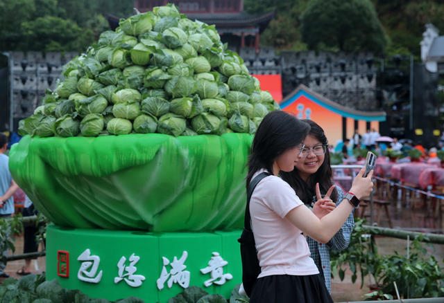 湖南桂东 高山蔬菜 香 湾区