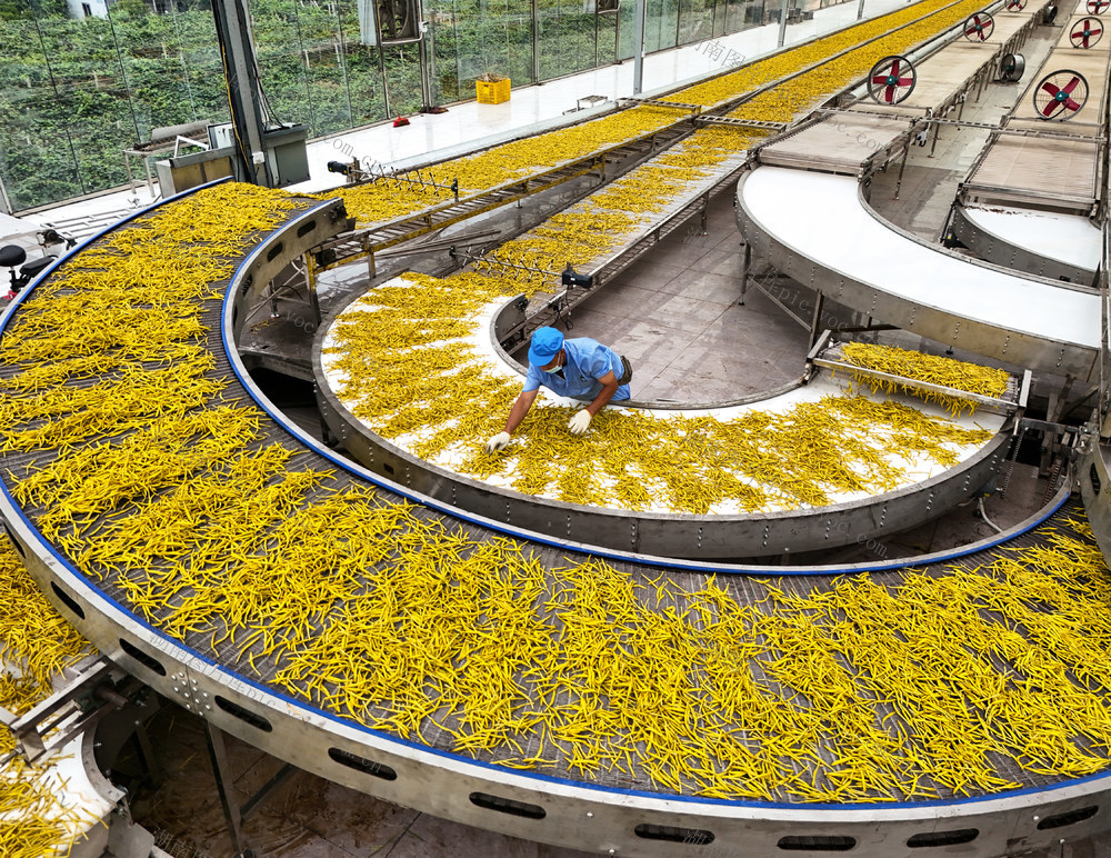 黄花菜  农副产品  种植  产业  农业