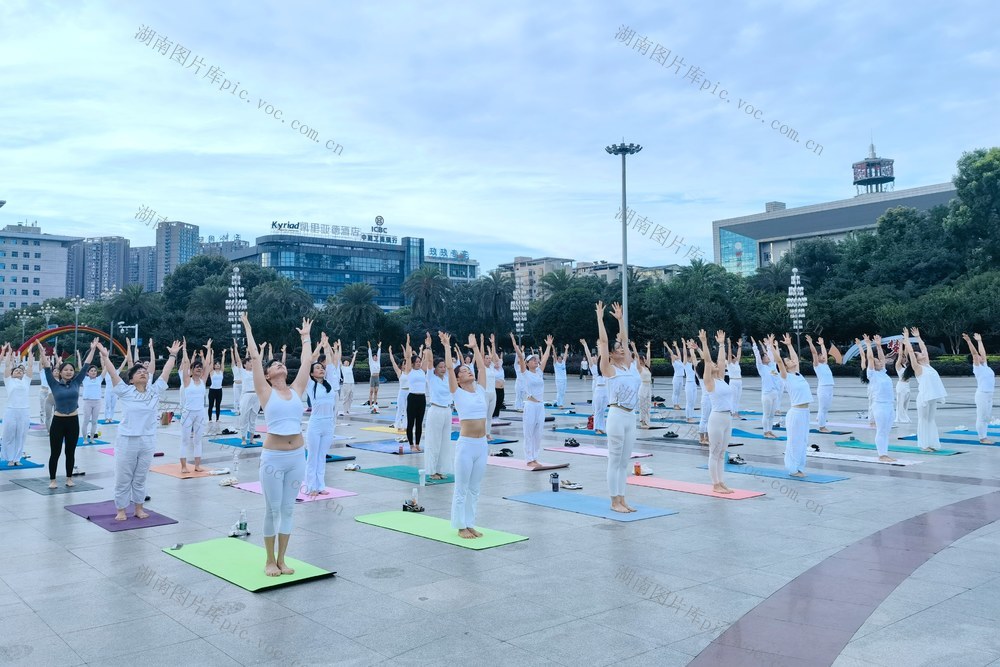 国际瑜伽日  瑜伽  全民健身 体育