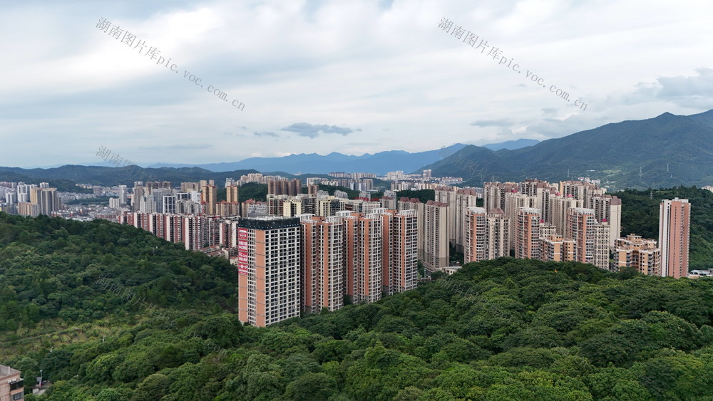 林业 绿色发展 生态产业 森林 林下经济