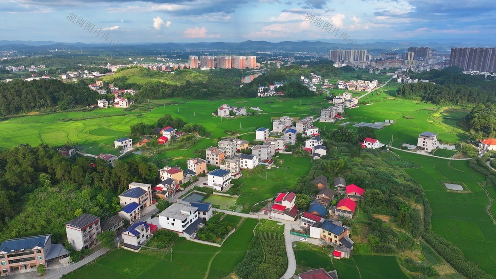 风景 乡村 美景 蓝天白云 乡村振兴 稻田