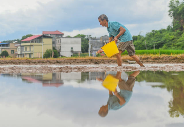 夏至
节气
道县