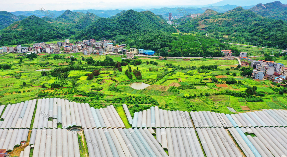 嘉禾：产业兴  乡村美