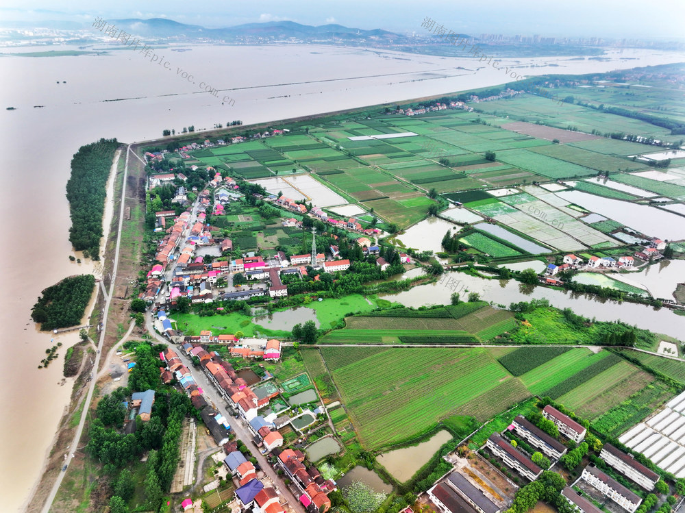夏季  强降雨  洪水  防汛
