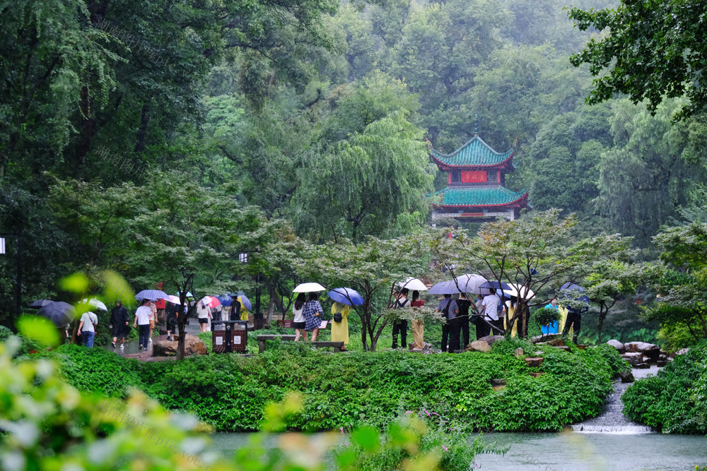 爱晚亭，烟雨朦胧