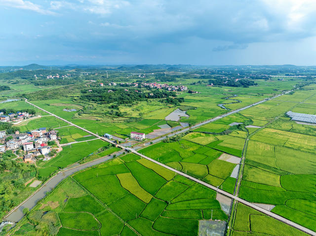 耕地保护  粮食安全