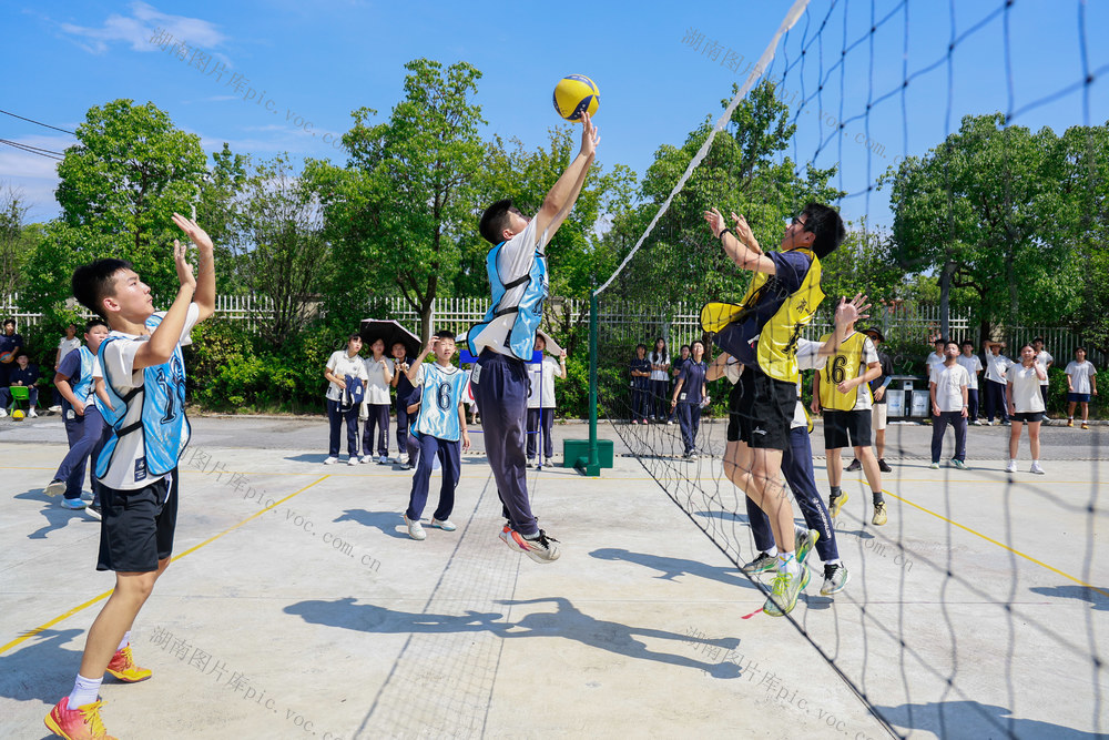 体育 排球 运动 初二 决赛