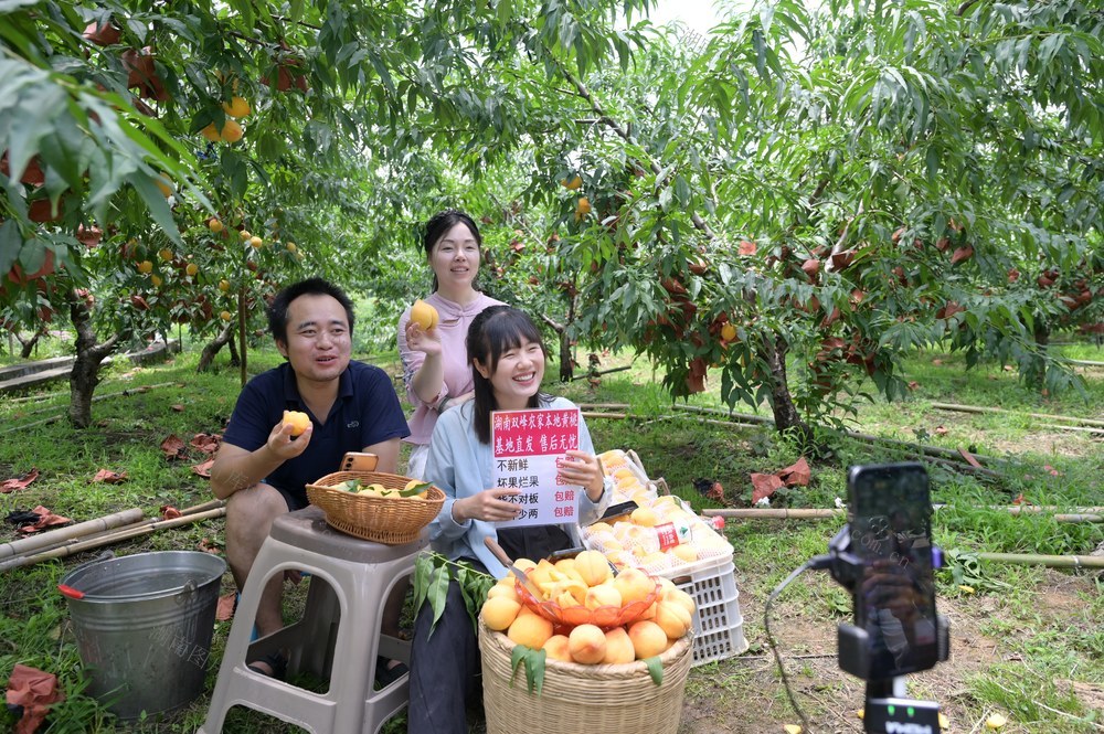 乡村振兴  农产品  主播  电商  线上  数字