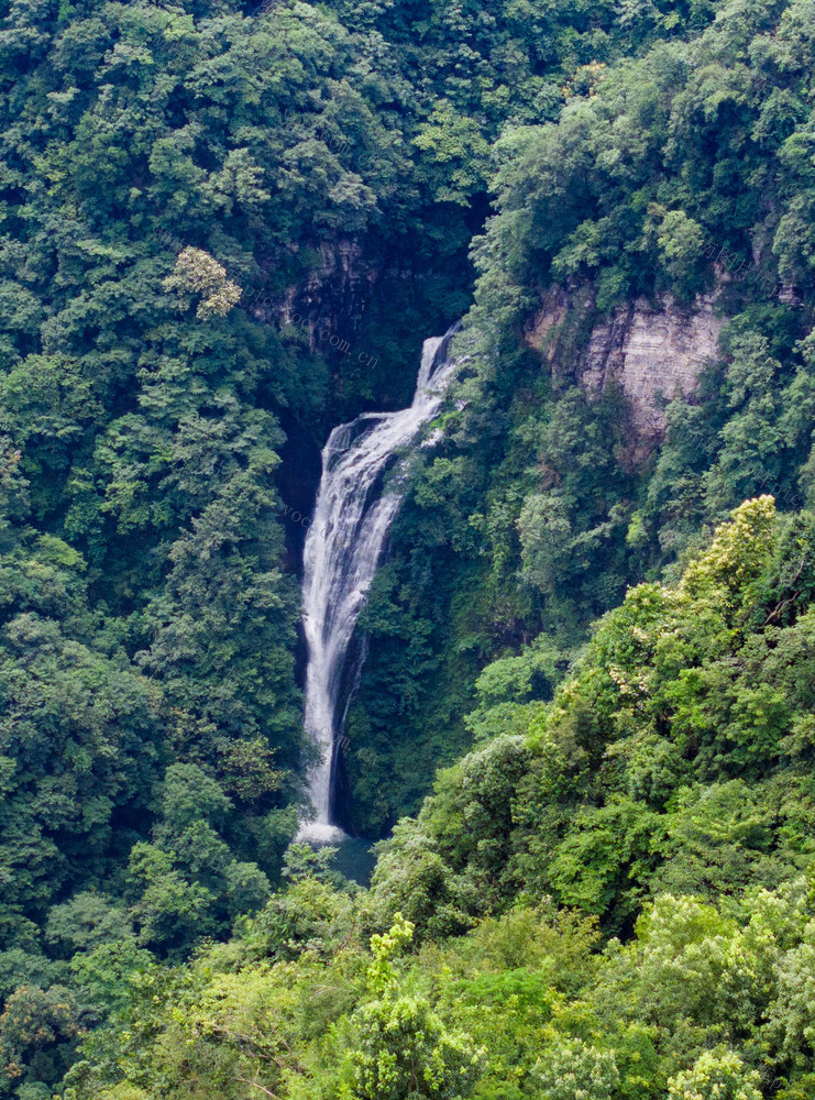 森林  瀑布  怀化  中方