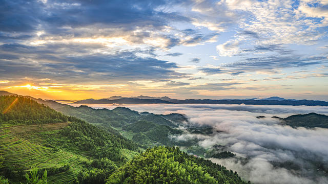 新化 紫鹊界 游客 梯田
