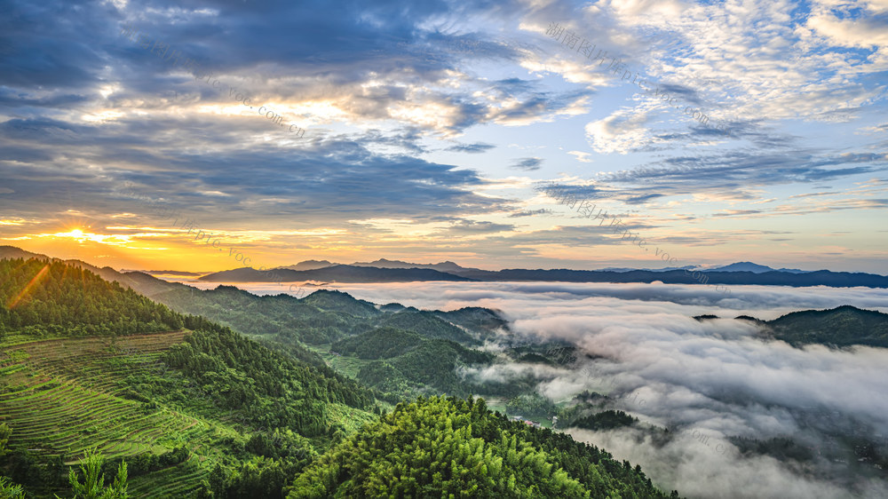 新化 紫鹊界 游客 梯田