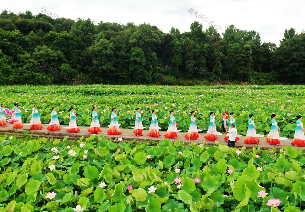 嘉禾： 生态美  旗袍秀 