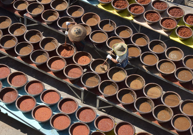 双峰  永丰辣酱  农业农村  特色食品   非遗文化遗产  乡村振兴  产业发展  合作社  地方特产