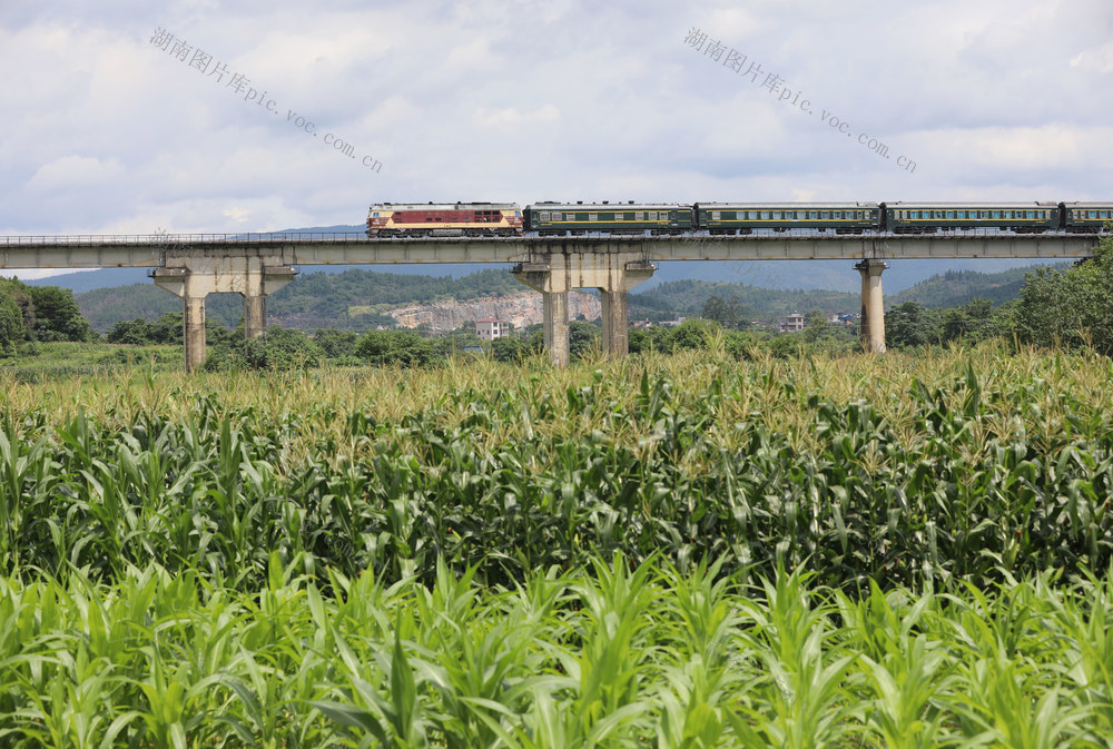 暑期 列车 调图