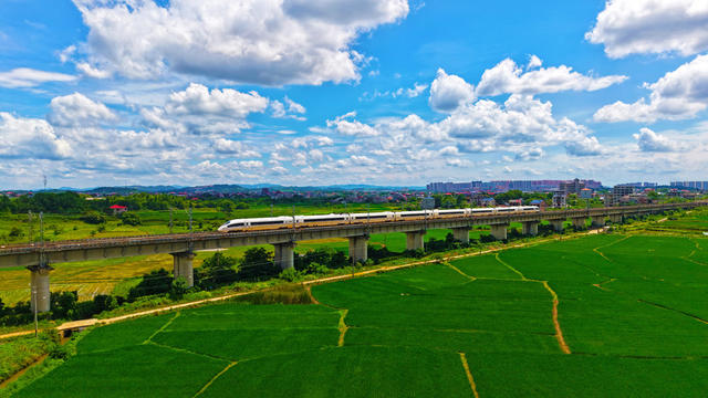列车  高铁  田园  夏日  飞驰
