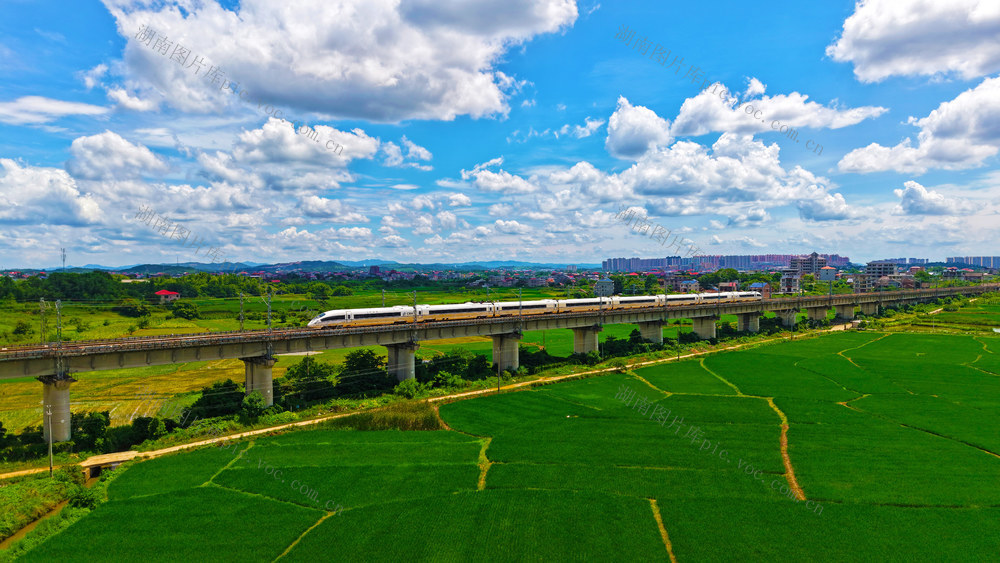 列车  高铁  田园  夏日  飞驰