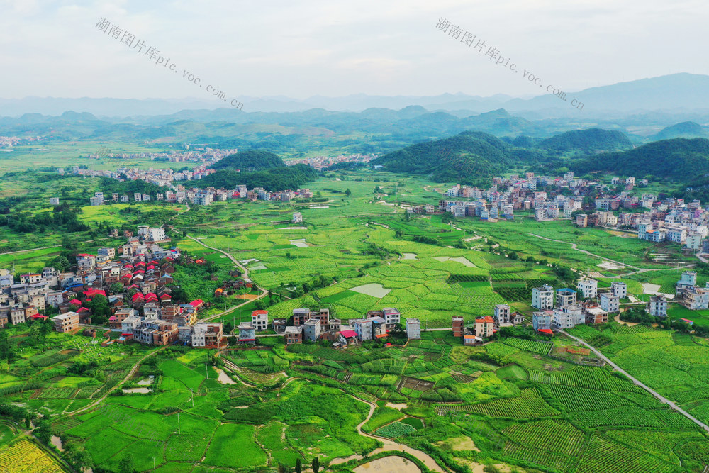 嘉禾：产业兴  田园美