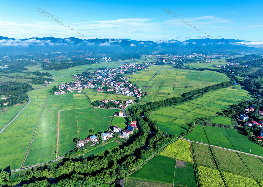 新农村  田园风光