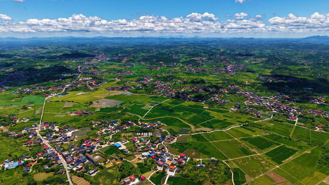 早稻  青山  河流  村庄 田园