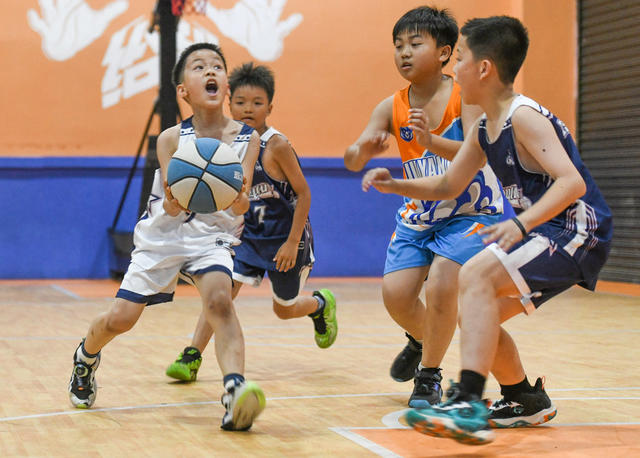 暑期
运动
球类
