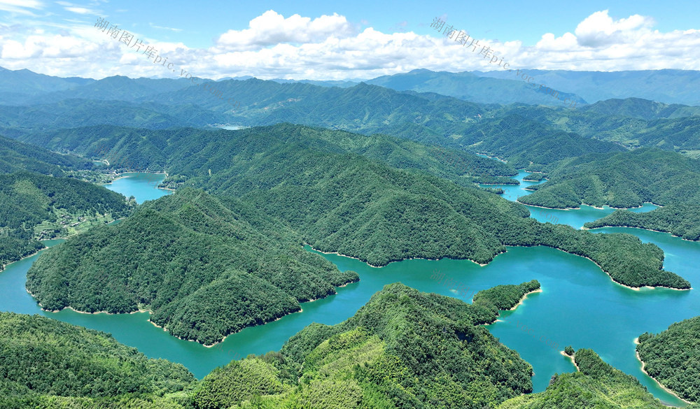 湿地 生态 保护 环境 向好 白云湖
