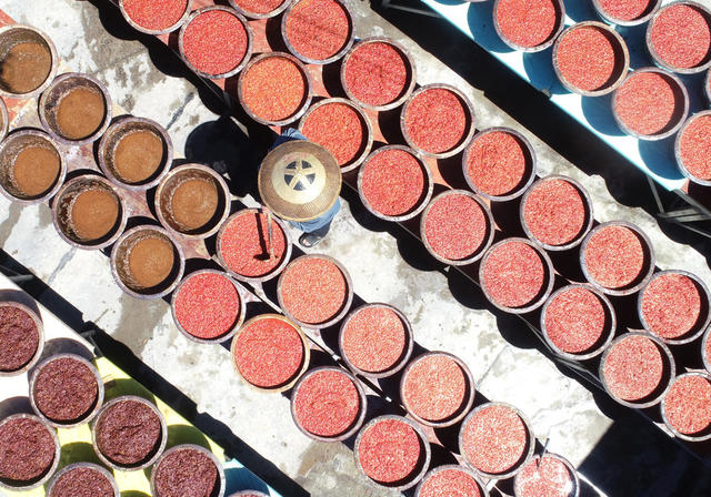 合作社    永丰辣酱  非物质文化遗产  乡村振兴 产业发展 农民增收  经济建设