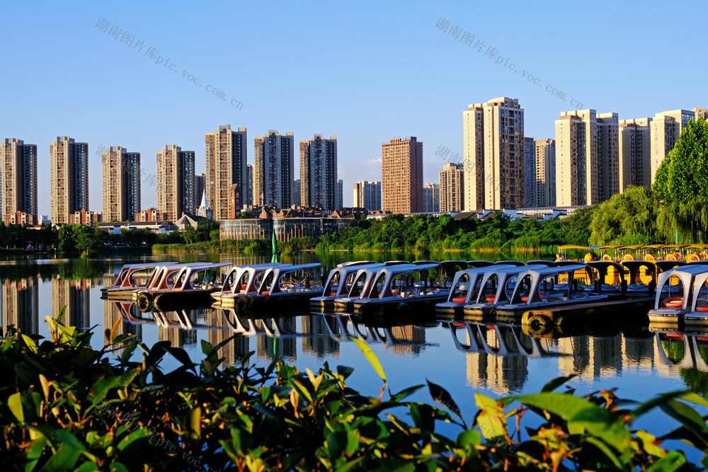 洋湖湿地美如画