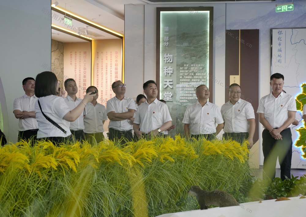 袁隆平、杂交水稻、博物馆、旅游、游客