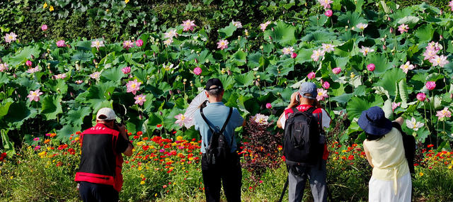 湖南桂东：银发力量 乡村振兴 镜头