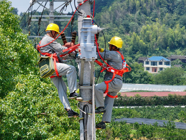 高温 供电 保障 度夏