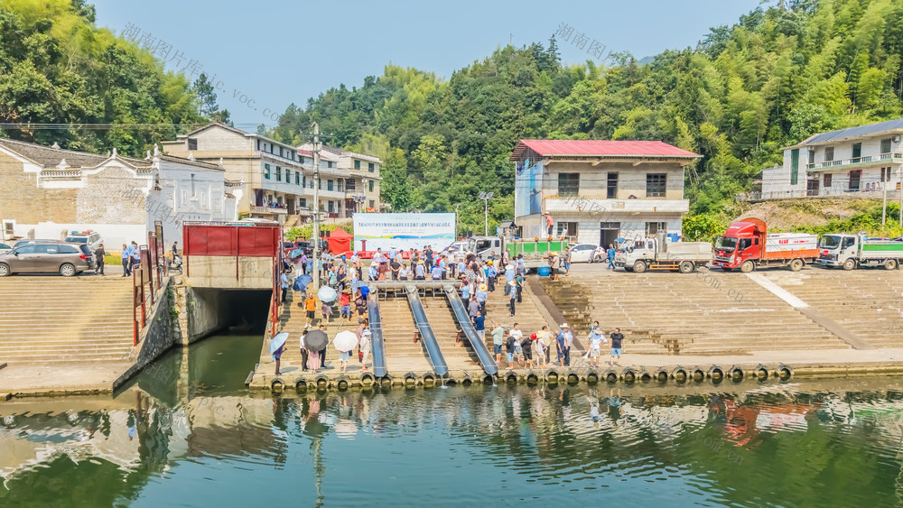 水生生物增殖放流 启动打击非法捕捞及规范垂钓 专项行动。