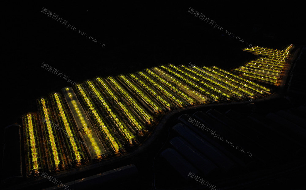 航拍  郴州市  苏仙区  五盖山镇 
 大奎上村  百香果棚基地  近万盏紫外线补光灯  璀璨星空 