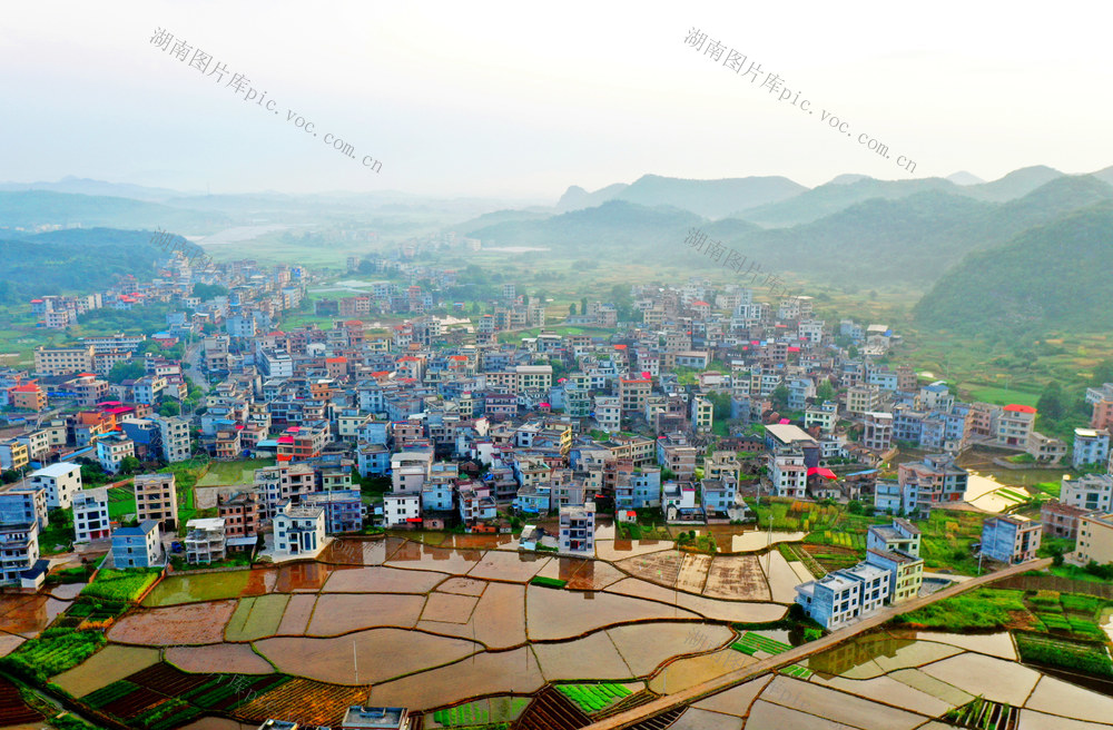 嘉禾：夏日乡村晨曦美