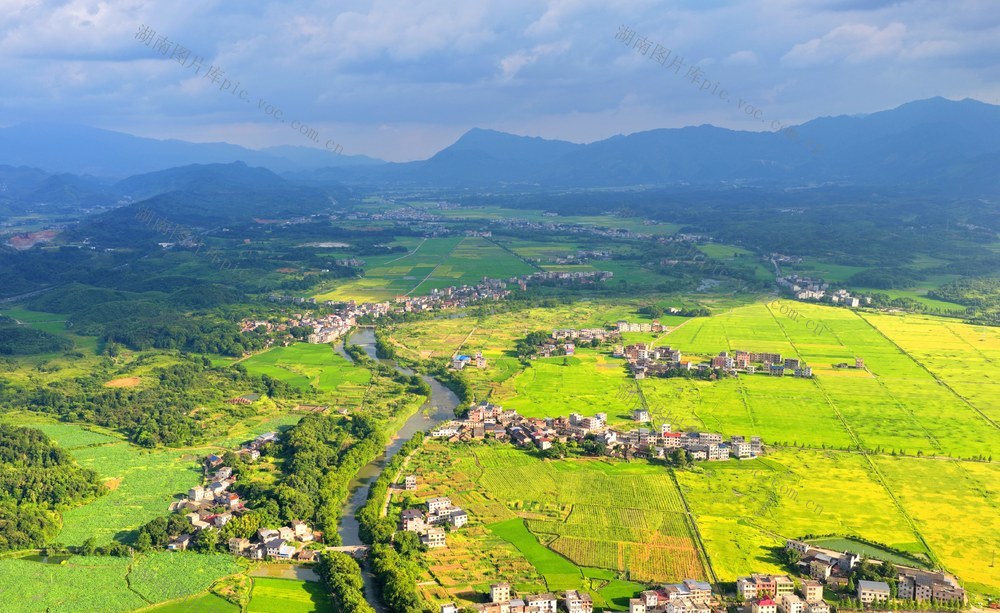 湖南  常宁  乡村  稻田