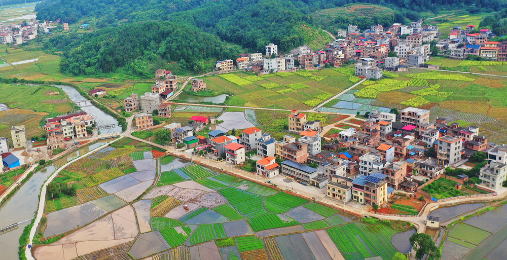 蓝山：盛夏“双抢”忙