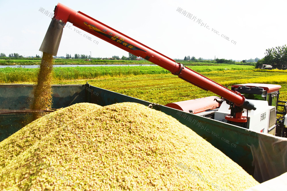 科技  智能制造  农机装备  收割机