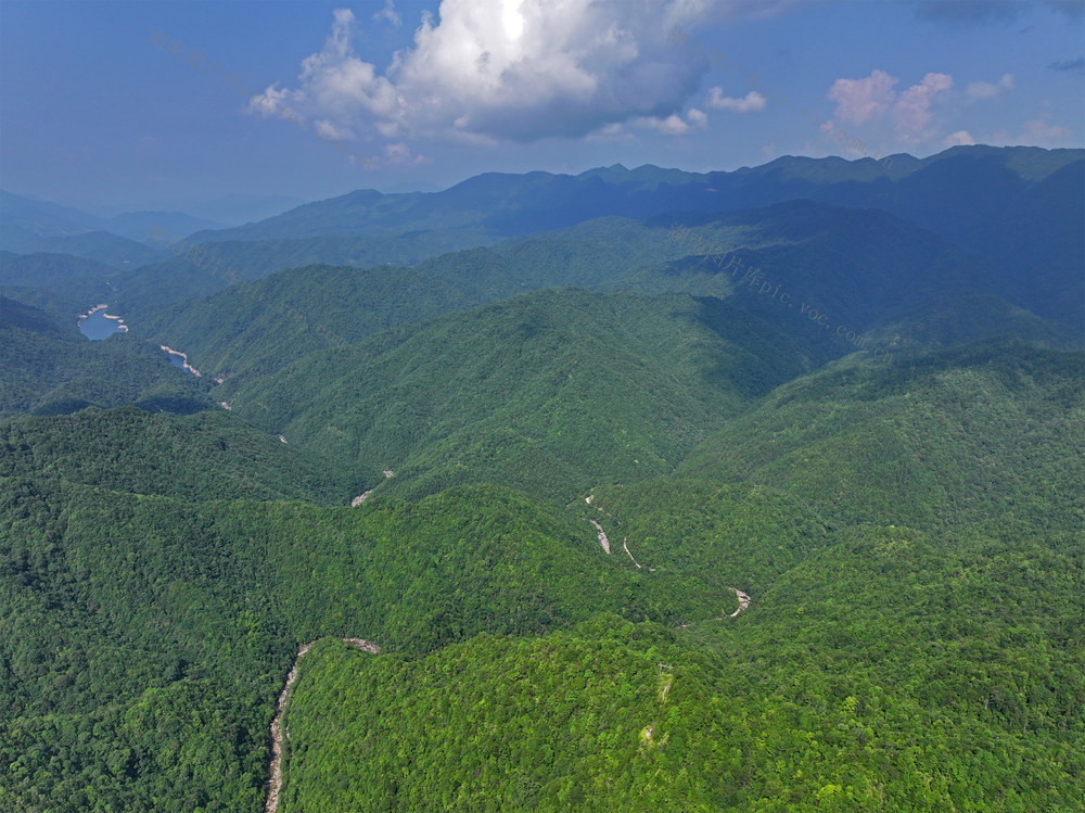 齐云峰国家森林公园 绿海 南岭 生态方舟