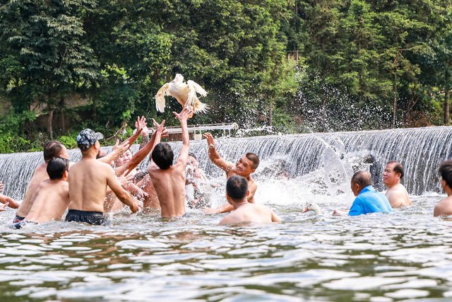 抢鸭子 水 清凉 夏日 玩水